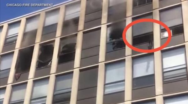 dovada ca pisicile au 9 vieti momentul in care o felina sare de la etajul 5 pentru a se salva dintr un incendiu video