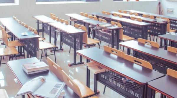 cadrele didactice suspendate in cazul in care comit abuzuri sexuale proiectul alinei gorghiu a trecut de senat