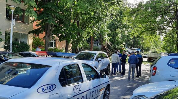 prapad in romania dupa cod rosu de vreme severa zeci de copaci au fost doborati de rafalele de vant galerie foto