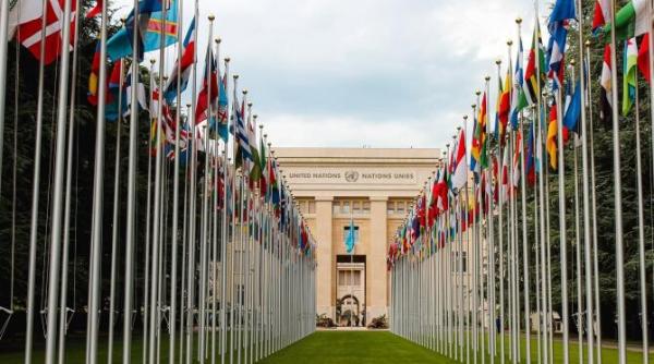 reuniune de urgenta a consiliului de securitate onu