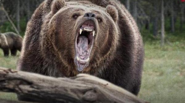 history channel recomandarile lunii iunie