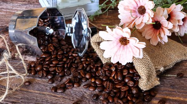 de ce sa uzi florile cu cafea truc pentru gradinari si iubitorii de plante
