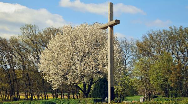 calendar crestin ortodox sarbatoare 22 mai 2021