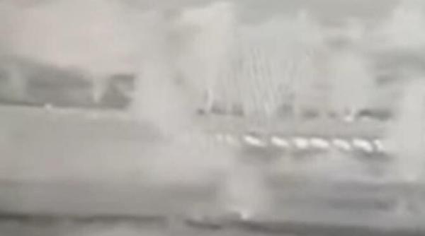 migranti filmati in timp ce au trecut granita in patru labe pentru a semana cu o turma de oi video