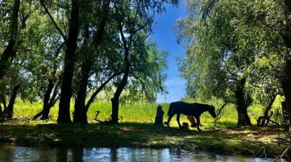raiul romanesc experienta de neuitat in delta dunarii idee pentru un concediu de vis foto video