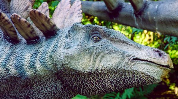 un barbat a fost gasit mort dupa ce s a blocat in interiorul unui dinozaur publicitar