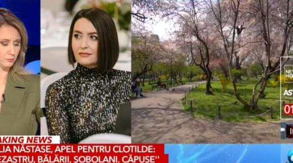 amalia nastase reprosuri pentru armand i a dat tag si lui nicusor dan o rusine
