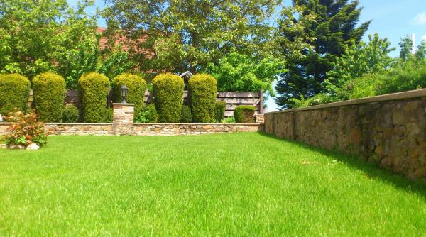 cum faci ingrasamant natural pentru gazon ai nevoie de trei ingrediente banale