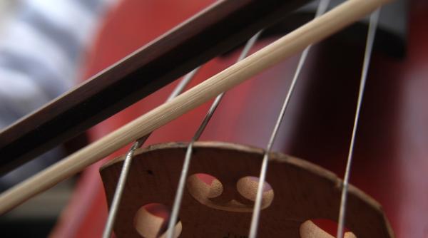 muzica alina durerea o violoncelista ii alina pe pacientii aflati in pragul mortii