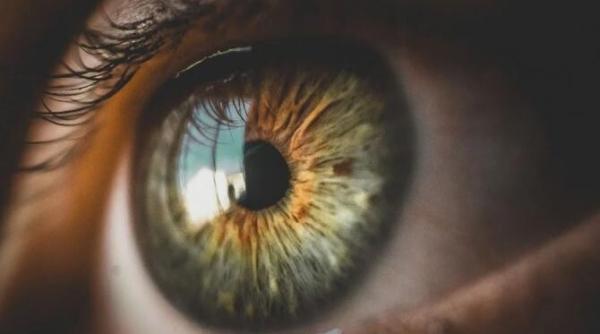 proteinele din alge pot reda vederea tratament revolutionar