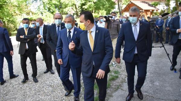 de ce s a prabusit pnl petrache explicatia procentului devastator iohannis si o ia din cauza partidului