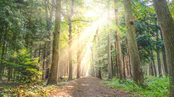 meteo minivacanta 1 iunie 2021 zona din tara in care nu va ploua in weekend bancila anm acolo va fi vreme buna