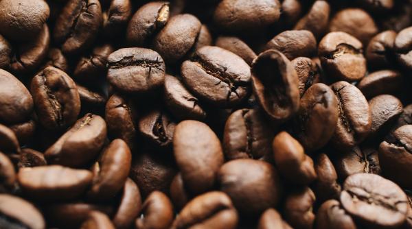 pune cateva boabe de cafea in frigider trucuri cu rezultat neasteptat