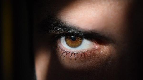 care sunt consecintele spionajului pentru serviciile daneze