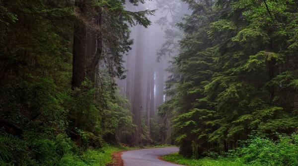 cei doi politisti de frontiera disparuti in muntii maramuresului au fost gasiti