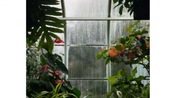 cod portocaliu de ploi torentiale in noua judete restul tarii sub avertizare cod galben