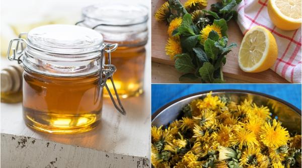 cum faci sirop de papadie reteta de miere cu beneficii nebanuite