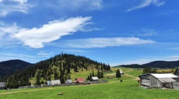 moata despre copilarie stateam pe spate pe tolu cu fan si ma uitam cata cer numa umblau norii