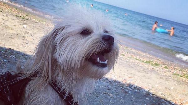 te duci la mare atentie principalele reguli ce trebuie sa fie respectate pe plaja