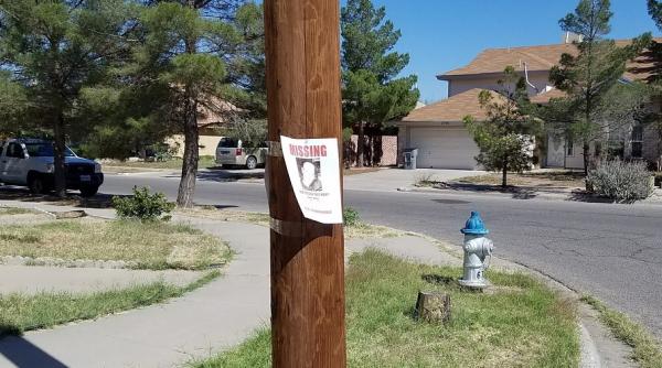 interpol creeaza o noua baza de date adn pentru gasirea persoanelor disparute