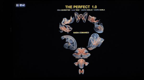 nadia comaneci a primit un colier nft de la 4 creatori de moda romani