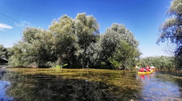 catalin tibuleac excursiile de o zi in delta dunarii sunt un produs turistic toxic pentru natura