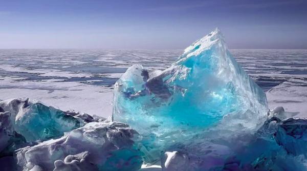 scandal evolutionist creaturi inghetate de 24 000 de ani s au reprodus fara probleme in laborator