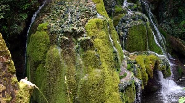 vela cere proiect national de restaurare si reconstructie a cascadei bigar