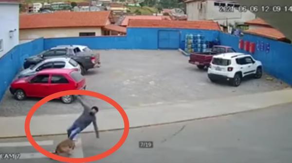 accident neobisnuit in botosani un tanar a fost lovit pe trecerea de pietoni de un caine care alerga cu viteza video