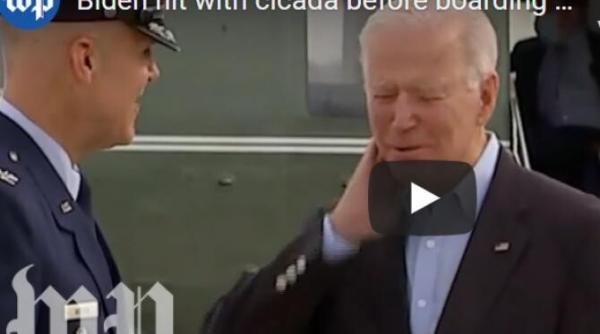 biden atacat de o insecta uriasa inainte de a pleca spre europa video