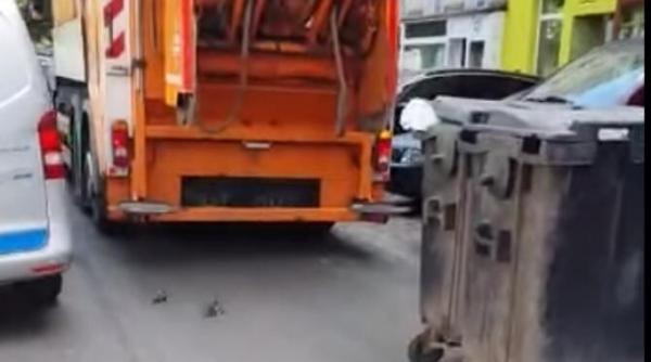video cu sobolani care sar din masinile cu gunoi si fug pe strazile din viena