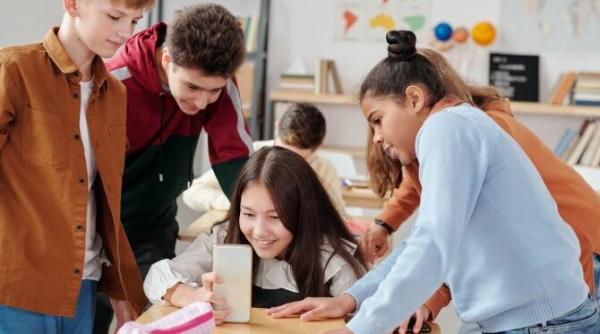 educatie de tip mall in romania mircea platon invatamantul importat este cel care a dus acele tari la nevoia de a importa inteligenta