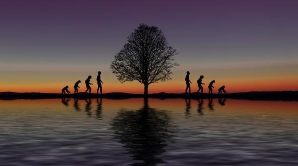 platon avertisment digitalizarea invatamantului ne va intoarce in epoca de piatra