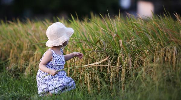 o fetita de trei ani a fost gasita moarta pe camp la constanta