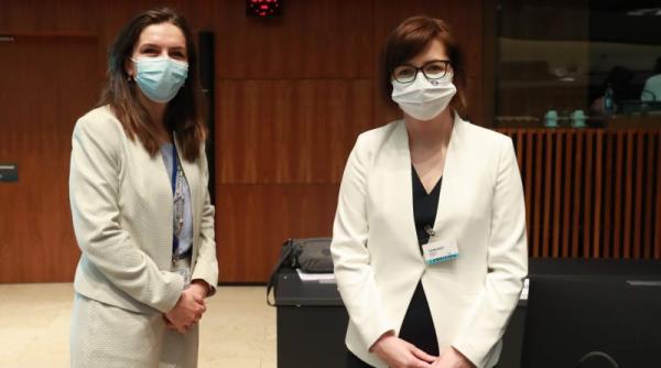 ioana mihaila prezenta la reuniunea ministrilor sanatatii din ue criza de medicamente printre principalele subiecte abordate