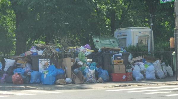 chirieac urare pentru clotilde armand dupa amenda data de garda de mediu si cu sobolani si cu banii luati