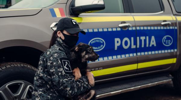 fpam apel catre guvernul citu indivizii care comit cruzimi asupra animalelor sa fie judecati de urgenta ca in sua
