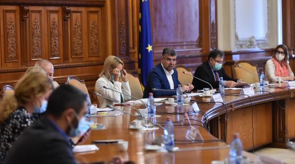 miza psd ului pana in 2024 indicata de carmen avram razvan dumitrescu daca se intampla e groaznic