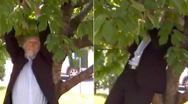 senator aur in copac dupa cirese chirieac in locul celor de la usr nu l as rata cand ne vom trezi va fi plansul