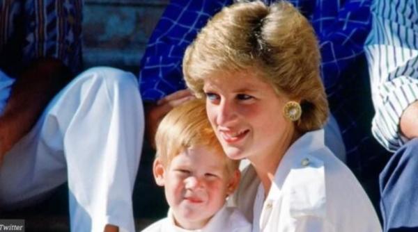 cum a murit de fapt printesa diana adevarul spus abia acum de medicul care i a acordat primul ajutor am incercat totul