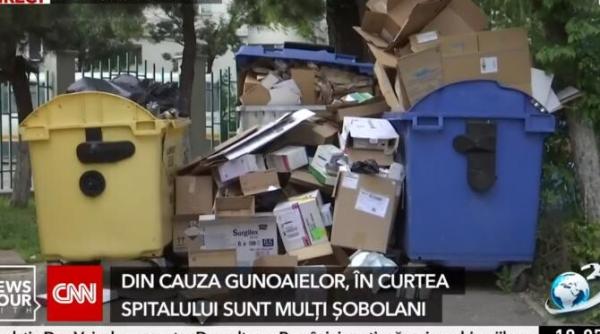 strategia folosita de clotilde explicata de nicusor intr un cuvant de fapt in doua