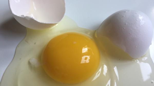 ai spart un ou intr un bol dar a cazut si putina coaja iata ce trebuie sa faci