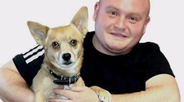 cainii si pandemia ce trebuie sa facem cu animalele dupa ce revenim la job