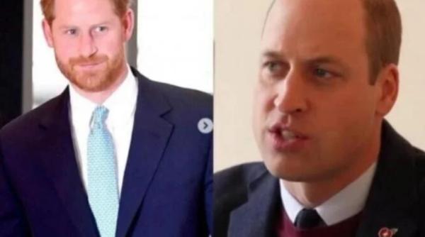 printul william l a dat afara pe harry de la casa regala totul despre scandalul fratilor meghan inlaturata din gelozie dereglata mintal