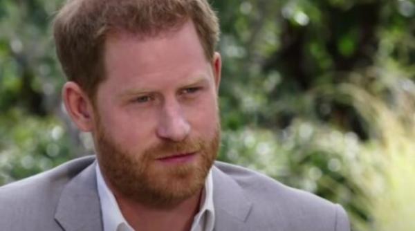 harry a mintit printul charles suma substantiala pentru ducii de sussex datele oficiale din conturi ii dau de gol