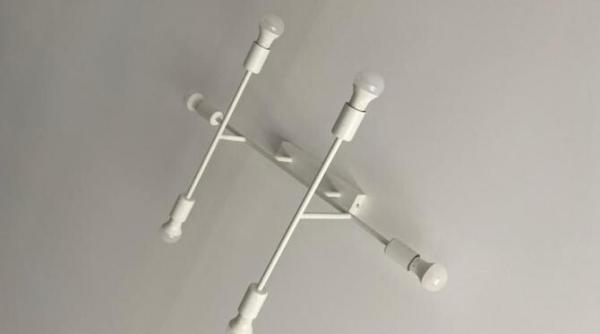 administratia nicusor dan a transformat bucurestiul in jungla urbana cum arata tavanele din casele oamenilor foto