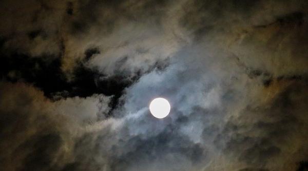 horoscop sambata 26 iunie 2021