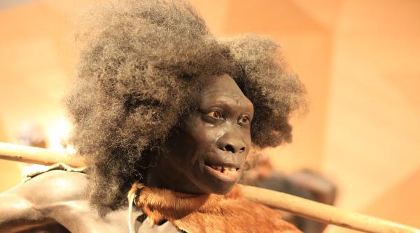 omul dragonului o noua specie descoperita ar putea fi cel mai apropiat de homo sapiens