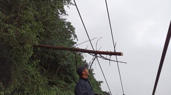 traficul feroviar a revenit la normal dupa furtunile puternice de noaptea trecuta