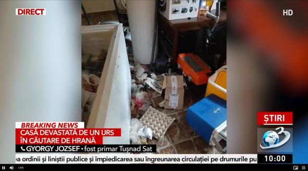 un urs a devastat o casa fostului primar din tusnad in cautare de hrana a furat mancarea din lada frigorifica